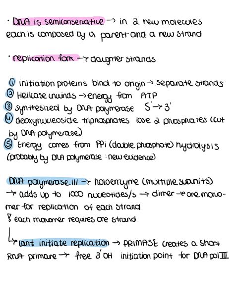 L08 DNA replication .